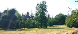 54660512f - Immobilière Dabreteau