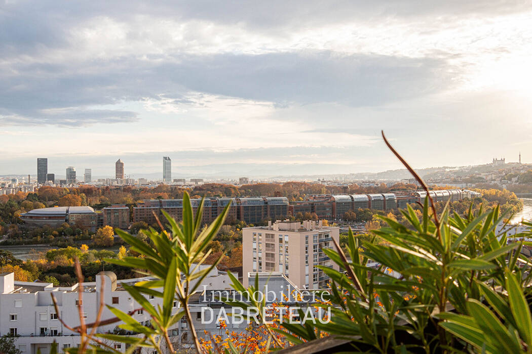 55177746l - Immobilière Dabreteau