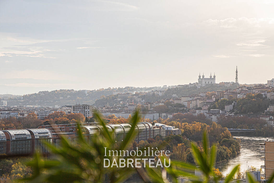 55177746n - Immobilière Dabreteau