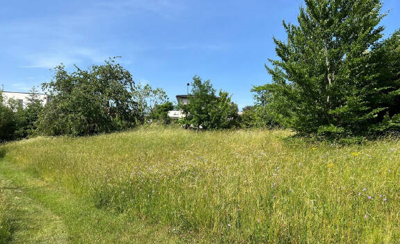 53240567e - Immobilière Dabreteau