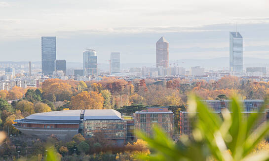 7boutary 5 - Immobilière Dabreteau