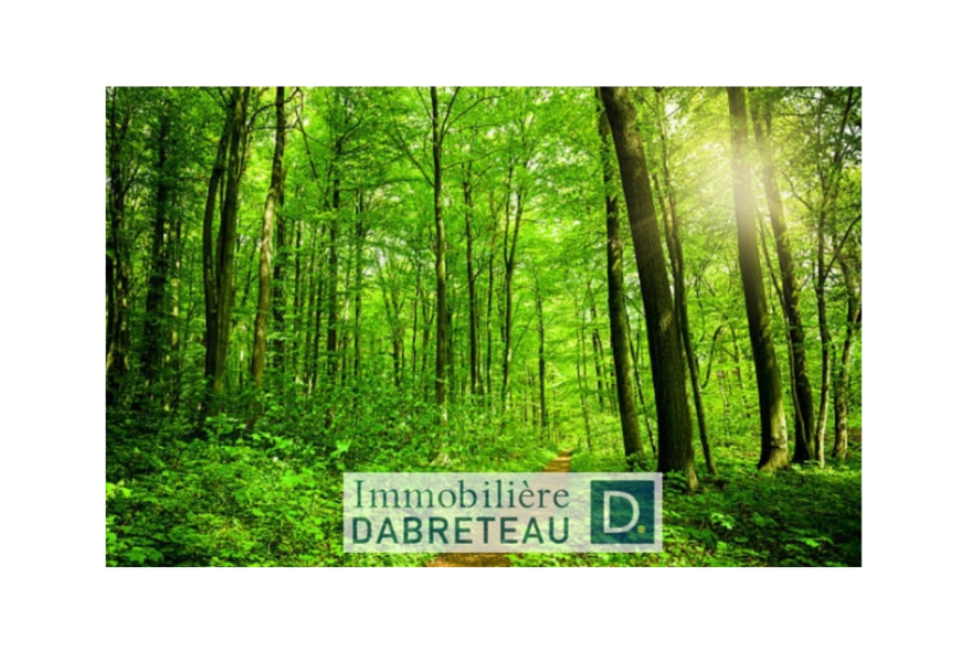 Img 20191024 090746 577 - Immobilière Dabreteau