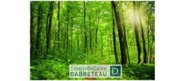 Img 20191024 090746 577 - Immobilière Dabreteau