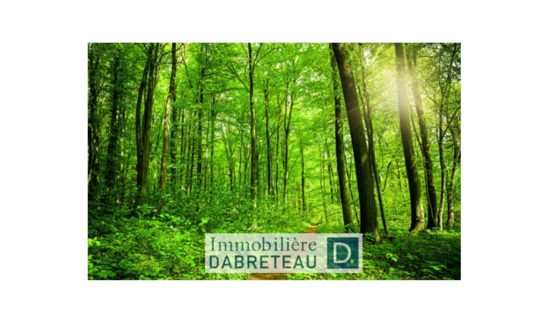 Img 20191024 090746 577 - Immobilière Dabreteau