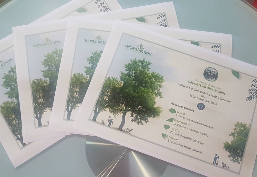 20191202 090443aa - Immobilière Dabreteau