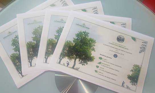 20191202 090443aa - Immobilière Dabreteau