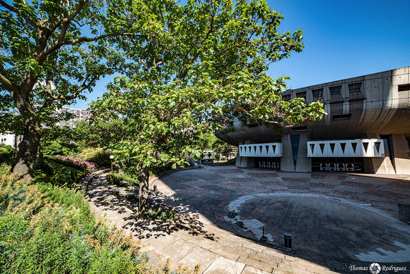 3eme part dieu  auditorium - Immobilière Dabreteau