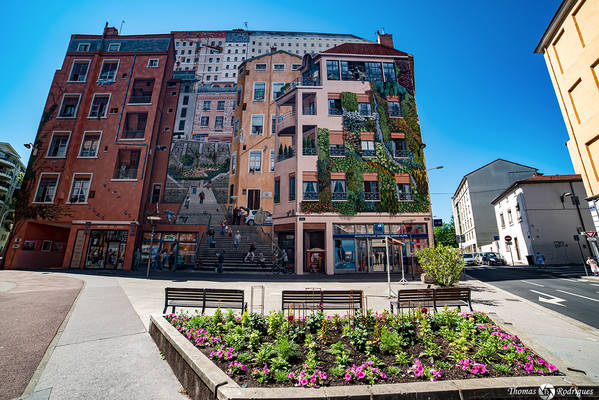 4eme croix rousse  fresque des canuts - Immobilière Dabreteau