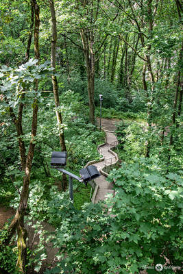 5eme fourviere  parc des hauteurs - Immobilière Dabreteau