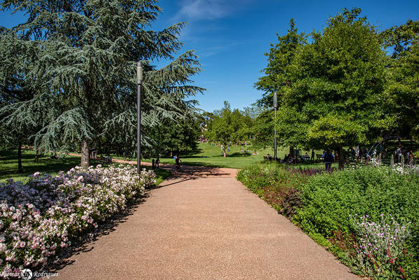 5eme point du jour  parc de la mairie du 5eme - Immobilière Dabreteau
