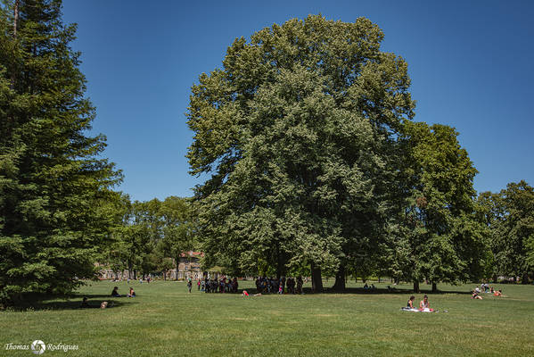 6eme tete d or  chill - Immobilière Dabreteau