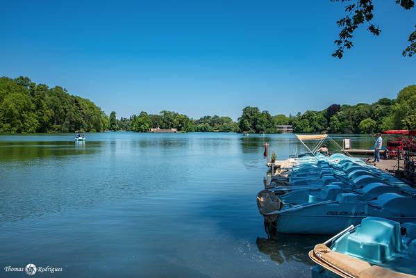 6eme tete d or  lac aux pedalos - Immobilière Dabreteau