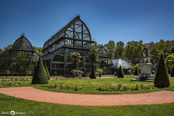 6eme tete d or  serres - Immobilière Dabreteau