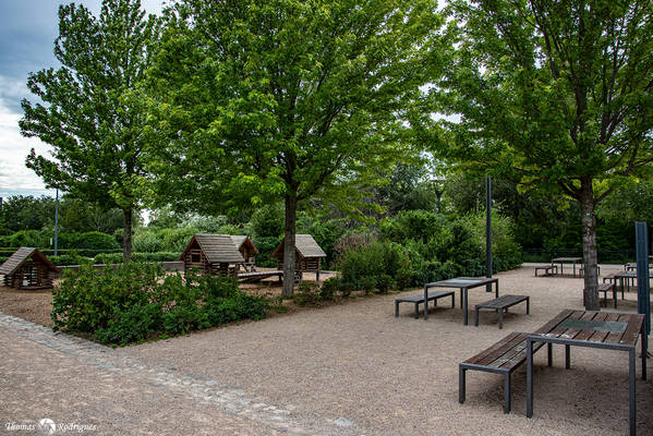 7eme gerland  bord plaine des jeux de gerland - Immobilière Dabreteau