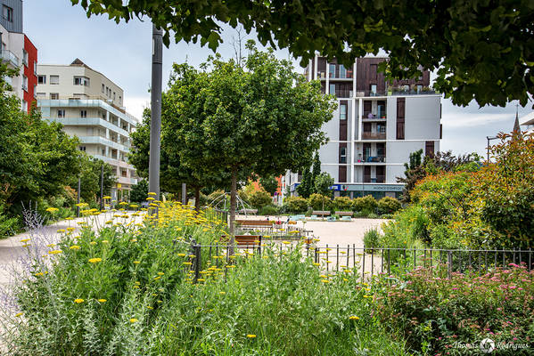 7eme la mouche  square rue clement marot - Immobilière Dabreteau