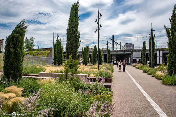 7eme jean mace  sous la gare - Immobilière Dabreteau