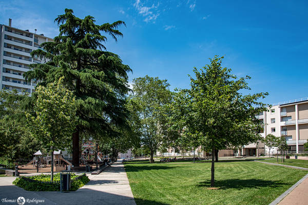 8eme mermoz  ensemble immeuble square rue du commandant caroline aigle - Immobilière Dabreteau