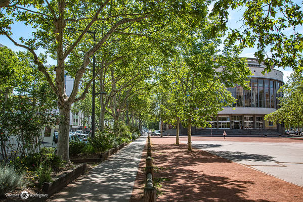 8eme etats unis  maison de la danse - Immobilière Dabreteau