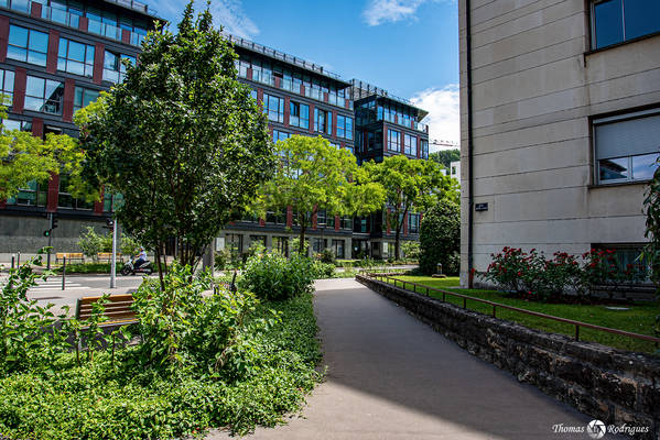 9eme gorge de loup  rue de gorge de loup - Immobilière Dabreteau