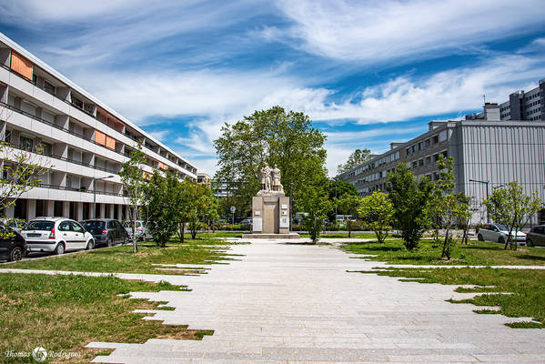 9eme la duchere  jardin chapas - Immobilière Dabreteau