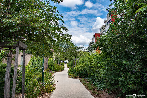Villeurbanne cusset  petit chemin - Immobilière Dabreteau