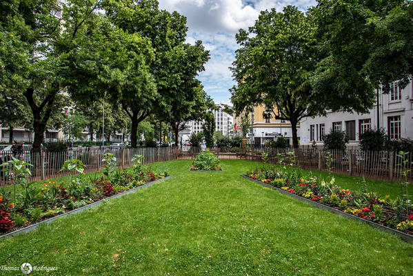 Villeurbanne gratte ciel  square henri bertrand - Immobilière Dabreteau