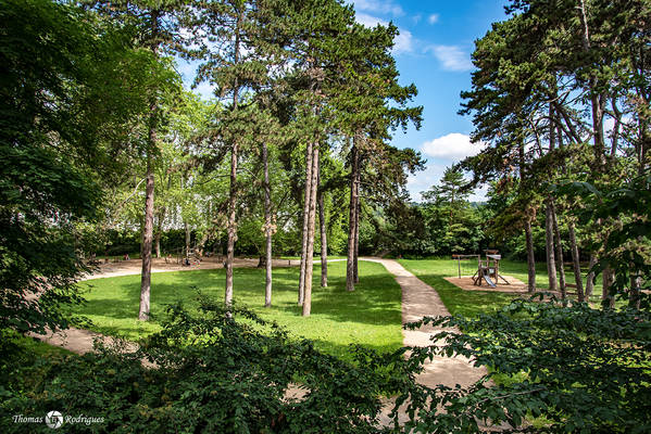 Villeurbanne la doua  parc de la doua2 - Immobilière Dabreteau