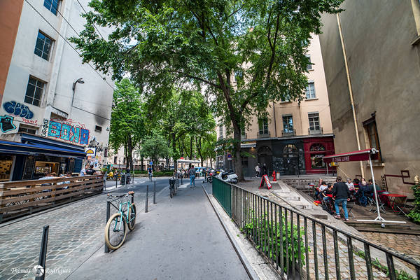 1er terreaux  rue louis vitet - Immobilière Dabreteau
