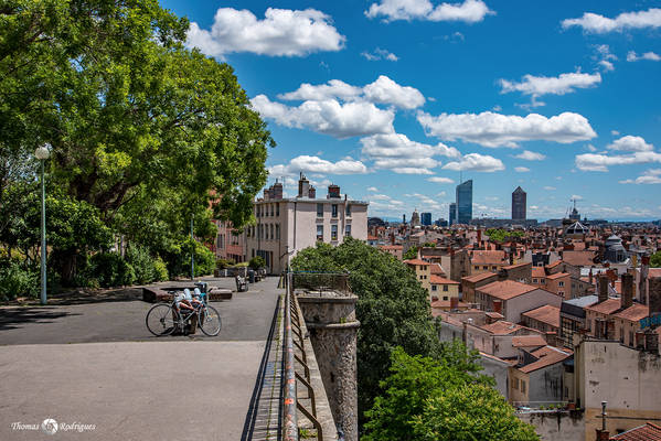 1er chartreux  place rouville - Immobilière Dabreteau